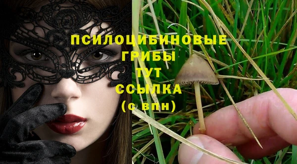 а пвп мука Арсеньев