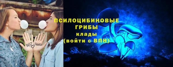 а пвп мука Арсеньев